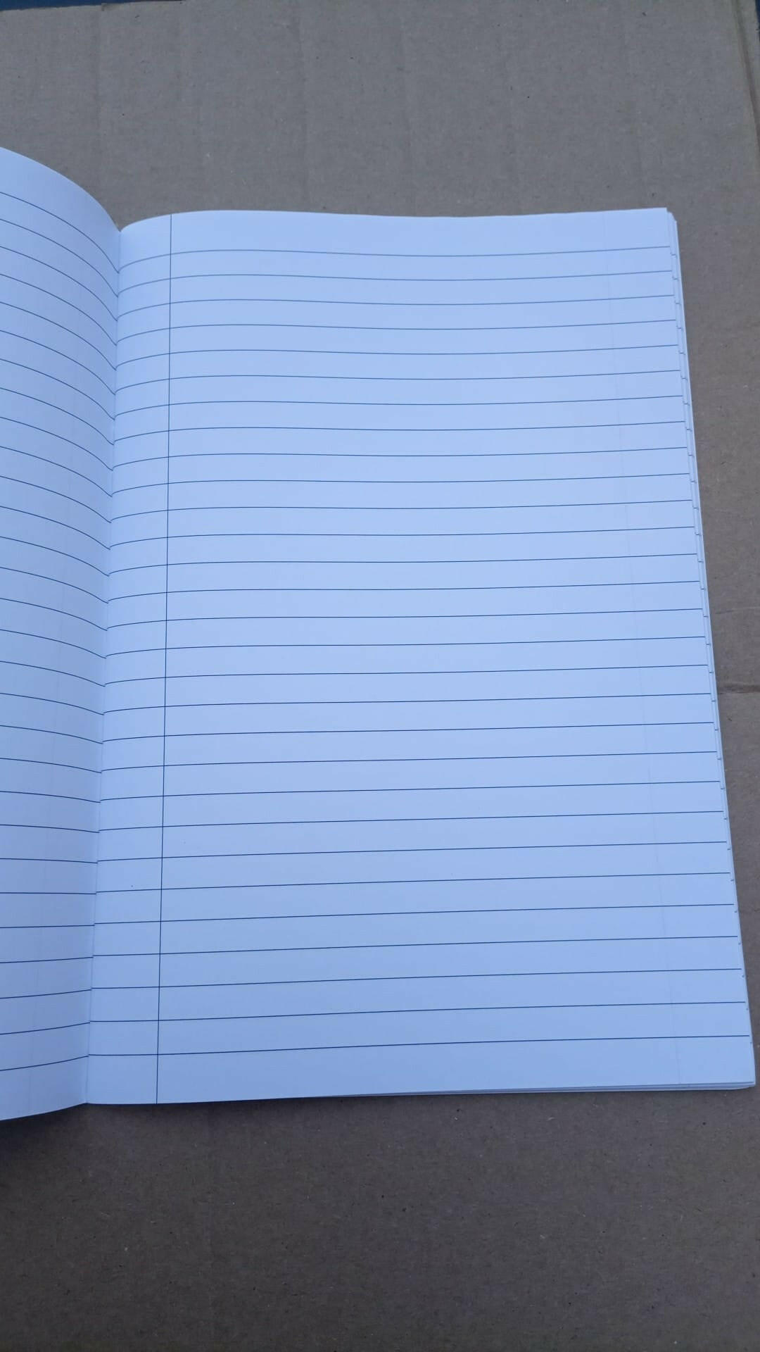 cahier reine des neiges