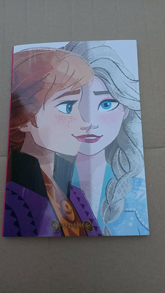cahier reine des neiges