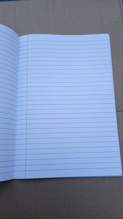 cahier reine des neiges